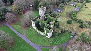 Aerial Photo of Castle