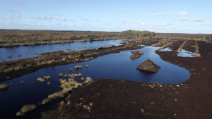 Peatlands from above