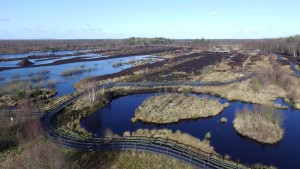 Peatlands Aerial View